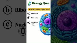 biology quize #quiz #quiz #learnanewwordtoday #english#nothingimposibleinthisworld#education#science