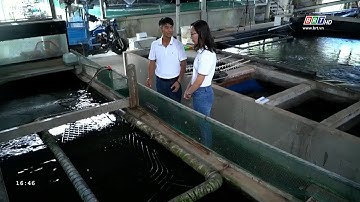 Nhà nông hội nhập 21/1/2025 | Mô hình nuôi cá chình công nghệ cao | BRT TV