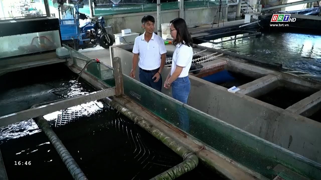 Nhà nông hội nhập 21/1/2025 | Mô hình nuôi cá chình công nghệ cao | BRT TV