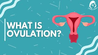 What is Ovulation? | Ovulations Symptoms | Fertility Solutions