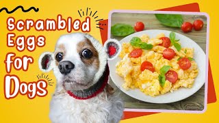 DogFriendly Scrambled Eggs to Share A Healthy Breakfast Recipe for Your Dog