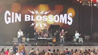 The Gin Blossoms - Allison Road Live in St. Augustine 2022