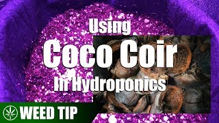 Using Coco Coir As A Hydroponic Grow Medium