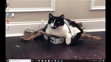 Action  Script 101 Part 3