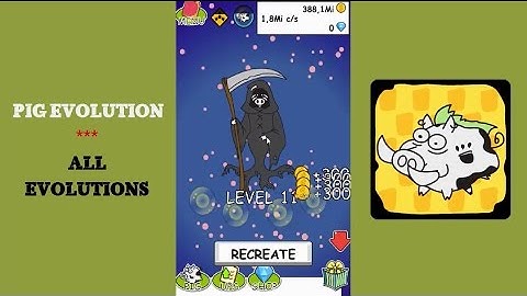 Pig Evolution - All Evolutions