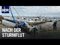 Schleswig-Holstein: Nach der Jahrhundert-Sturmflut | Die Nordreportage | NDR Doku