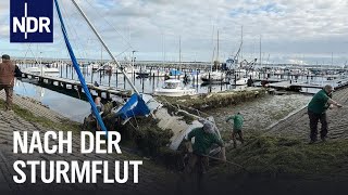 SchleswigHolstein: Nach der JahrhundertSturmflut | Die Nordreportage | NDR Doku