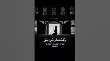 القران الكريم | سورة آل عمران الآية: (191)🍃💚🍃💚🍃💚.