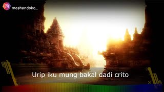 Story WA Jawa 30 detik - Laku Utama
