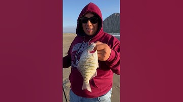 Thumbnail of Morro, Bay California, sand, perch,fishing.Fishingboyzoutlawz