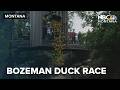 Bozeman Duckie Race benefits local non-profit