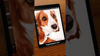 Portrait of Scruffy #petportrait #art Portrait of Scruffy #petportrait #art