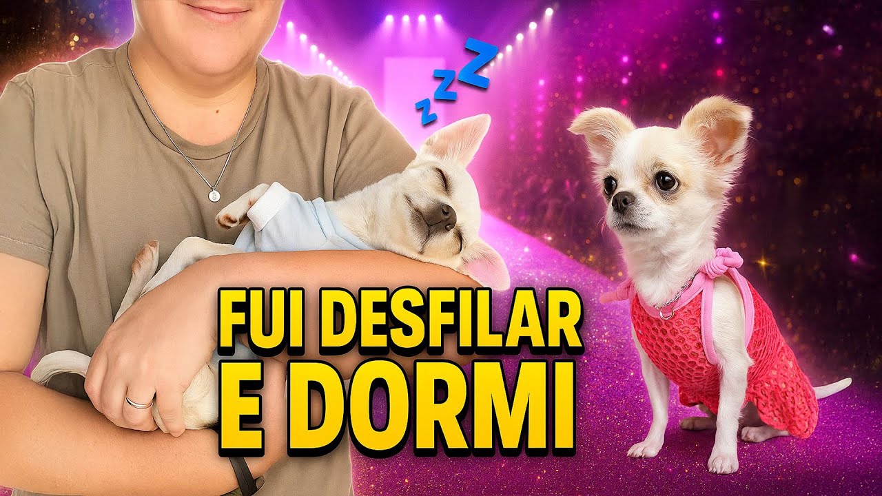 DESFILE FASHION DAS FILHOTES (COM DIREITO A SONECA!) 💤👑