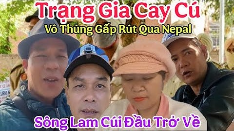 Cực Nóng..! Trạng Gia Cay Cú Cúi Đầu Trở Về Sông Lam Sự Thất Bại
