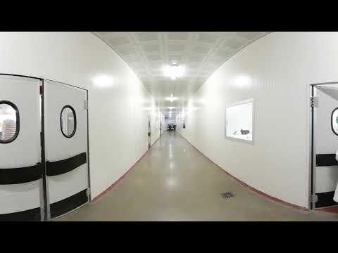 პროცესში