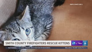 Smith County firefighters rescue kittens
