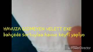 Havuza Gidemeyen Velet Ifşa