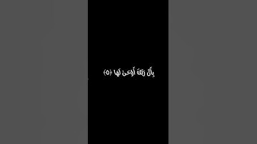 شيخ نورين | سورة الزلزلة | كروما سوداء