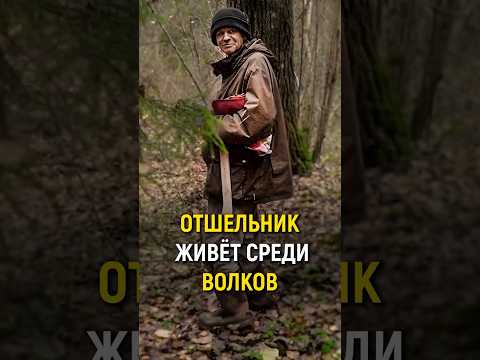 НАШЛИ ОТШЕЛЬНИКА В ЛЕСУ. Живёт 26 лет среди волков и медведей. #словопацана #отшельник #одиночество