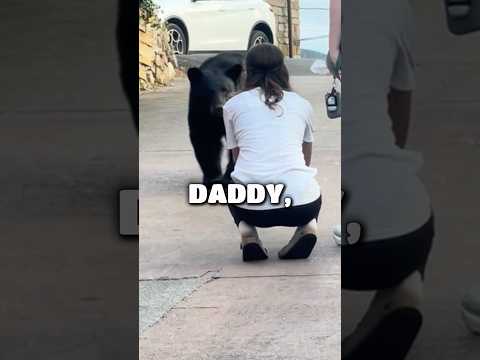 هل يمكنني مداعبة هذا الكلب 