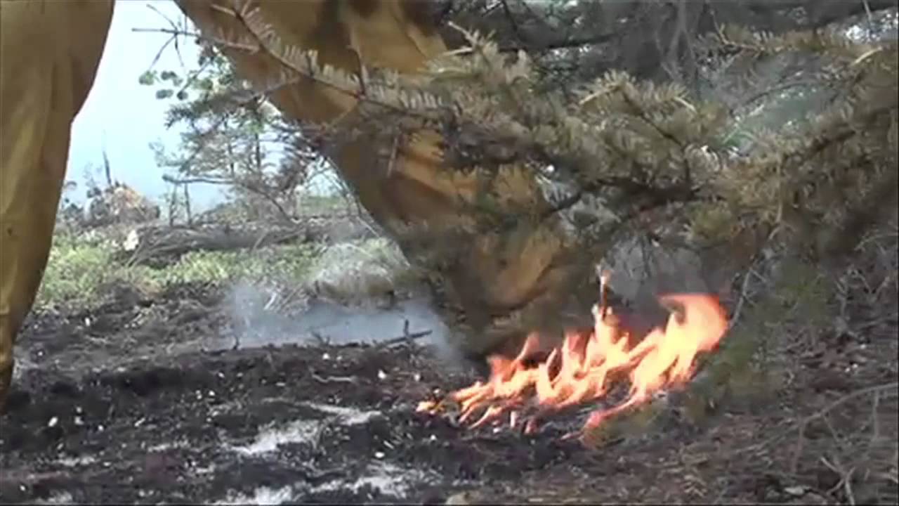 video phone beyonce mp3 Angry Planet's George Kourounis on the power of fire