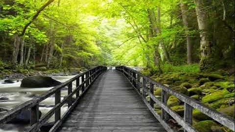 (و إذا اذقنا الناس رحمة فرحوا بها ) تلاوة من سورة الروم _ رعد الكردي