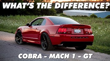 What Makes 03/04 terminator Cobra Different?