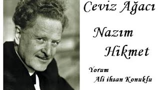 Ceviz Ağacı - Bir Nazım Hikmet Şiiri