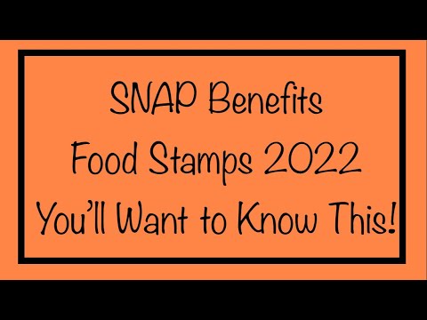 SNAP Benefits / Food Stamps in 2022 - You’ll Want to Know This…