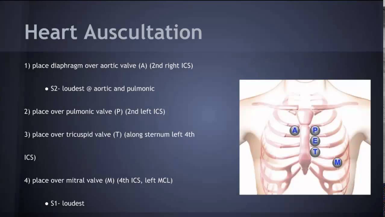 Heart Assessment Final