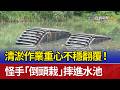 清淤作業重心不穩翻覆！ 怪手「倒頭栽」摔進水池