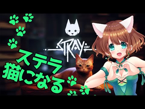 【Stray】ステラ、猫になる！🐾にゃー！