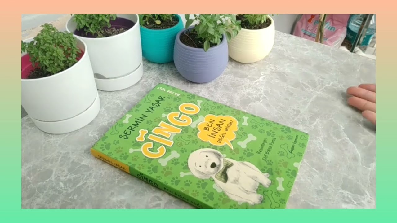 CİNGO KİTABI ÖZETİ #cingo #kitap #özet #kitapözeti