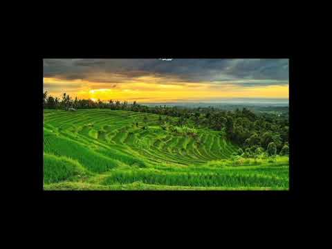 MANTHOU'S AMI DS   Sakit Rindu