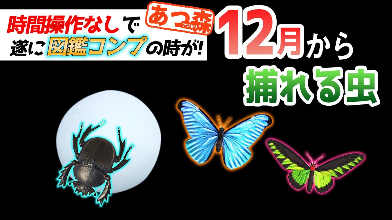 あつ森 12月から捕れる虫を全て紹介 出現時間や場所 条件など捕まえるコツについても徹底解説 フンコロガシ やモルフォなどレアな秋の虫がたくさん登場 あつまれどうぶつの森 12月虫図鑑コンプリート Youtube あつ森 12月から捕れる虫を全て紹介 出現時間や場所 条件など捕まえるコツについても徹底解説 フンコロガシ やモルフォなどレアな秋の虫がたくさん登場 あつまれどうぶつの森 12月虫図鑑コンプリート Youtube
