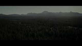 ALONE Trailer (2020)