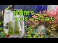 超簡単！接着剤でモスをつけてみた