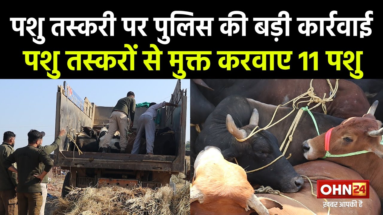 पशु तस्करी पर सांबा पुलिस की बड़ी कार्रवाई!
