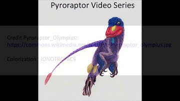 Pyroraptor ® USB I2C/SPI Bridge Part 1 Introduction
