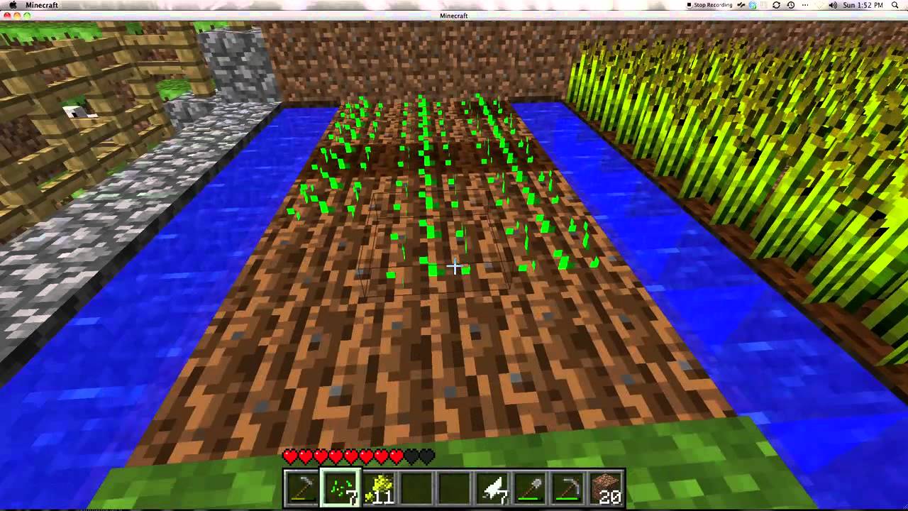 How to Plant Wheat in Minecraft - YouTube
