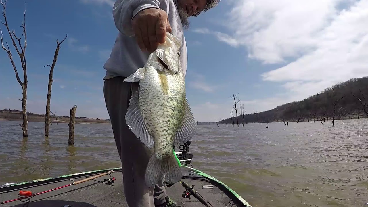 BEST 7 Crappie 16.44 lbs Tuttle Creek Lake, KS 5 Apr 20 YouTube