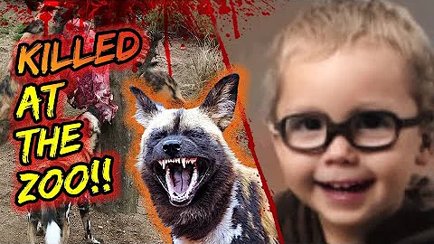 She dropped her son into a pit of wild African dogs