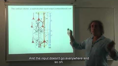 07 cortical networks out of the blue project 01 lesson 7 03 the cortical column