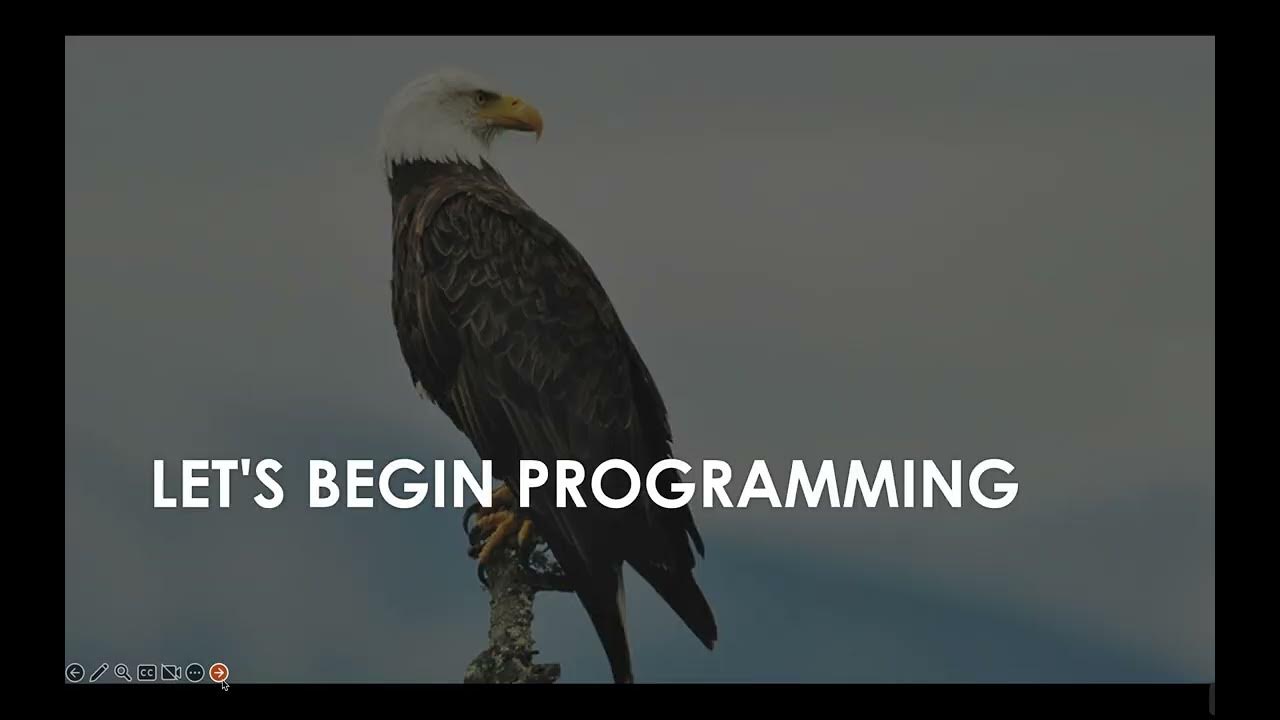 C++ Generic Vectors YouTube