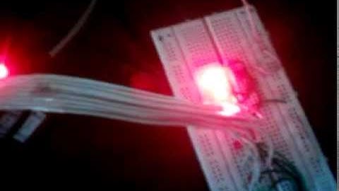 how to program 8051 using parellal port