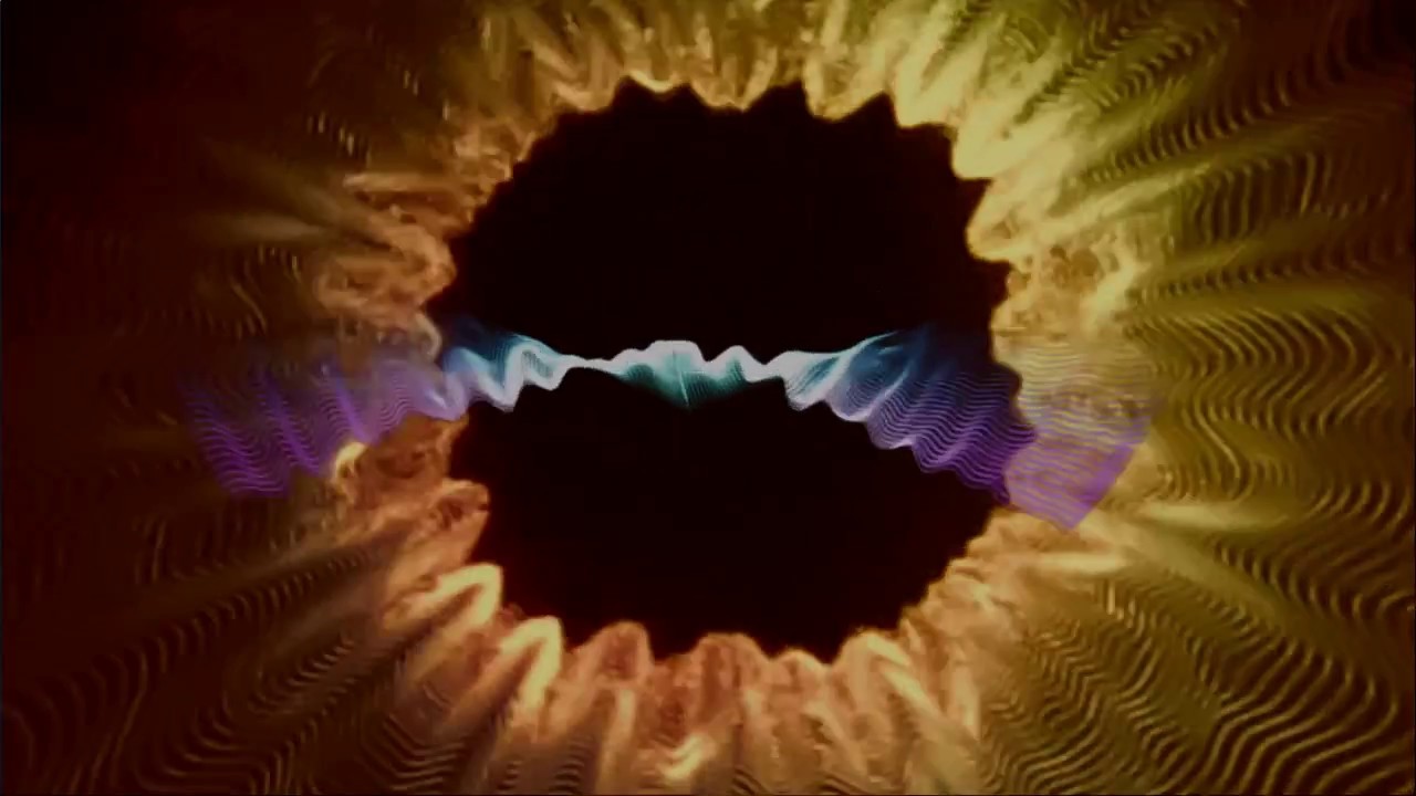 Jan Rase - Flying Home