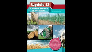6° Ano Geografia As Atividades econômicas do Setor Primário