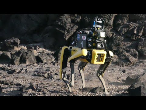 Mars Dogs: AI Powered Autonomous Robot Concept for Mars - [R&D from NASA's Team CoSTAR]