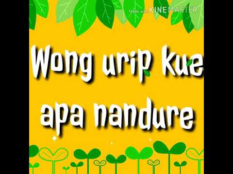 Story WA keren terbaru lucu bahasa jawa 