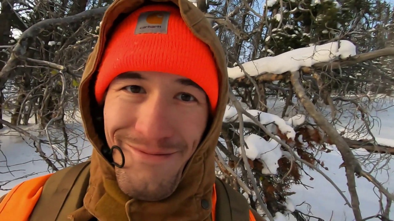 Montana Elk Hunt, Rifle, Famous Shamus Experience Part 3 (FRESH ELK